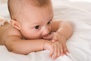 Similar image 976765