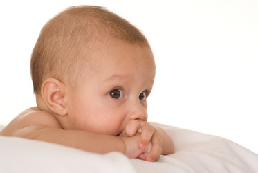 Similar image 976766