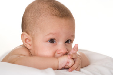 Similar image 976771