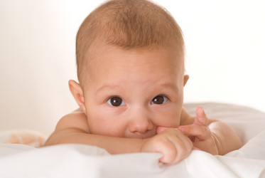 Similar image 976773