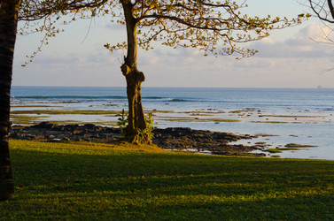 Similar image 977010