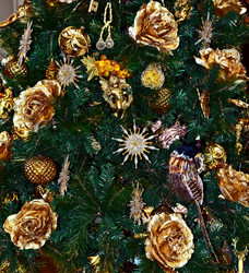 Similar image 977019