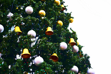 Similar image 977029