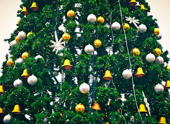 Similar image 977033