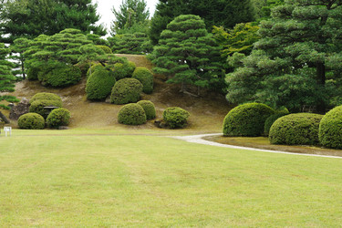 Similar image 977073