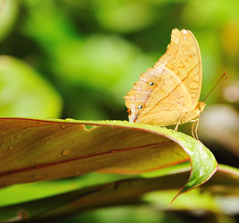 Similar image 977077