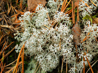 Similar image 977080