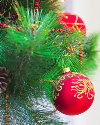 Similar image 977236