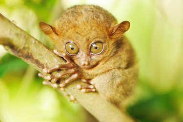 Similar image 977287