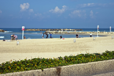 Similar image 977319