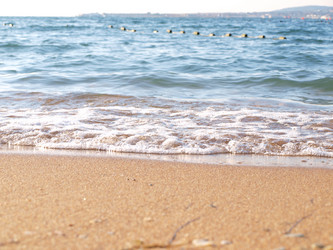 Similar image 977342