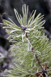 Similar image 977346