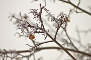 Similar image 977434