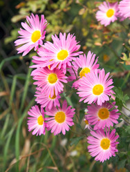 Similar image 977502