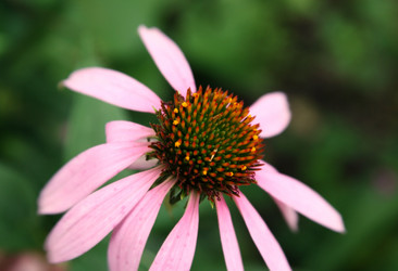 Similar image 977506