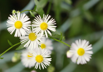 Similar image 977508