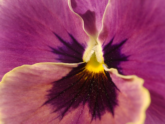 Similar image 977510