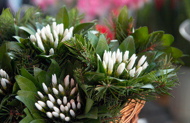 Similar image 977552