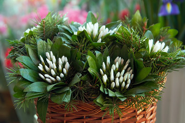 Similar image 977553