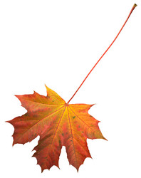 Similar image 977558