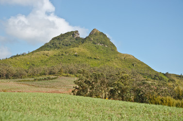 Similar image 977579