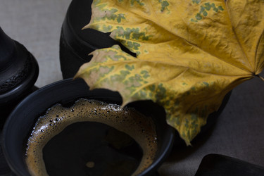 Similar image 977613