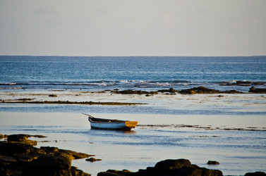 Similar image 977643