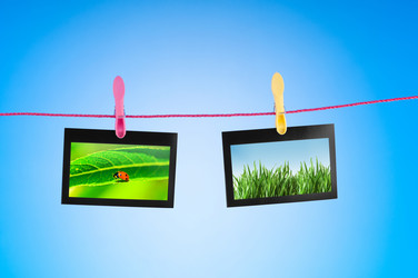 Similar image 977725