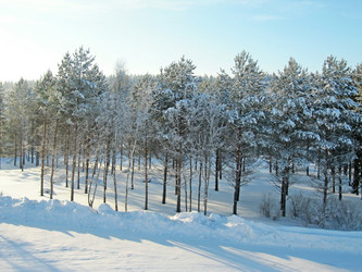 Similar image 977859