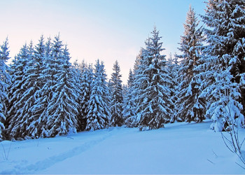 Similar image 977871