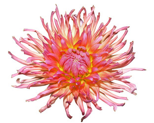 Similar image 977902