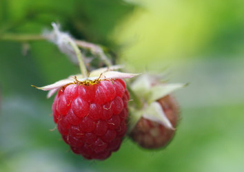 Similar image 977923