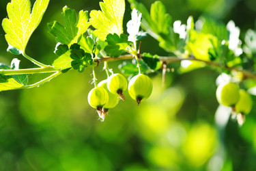 Similar image 978217