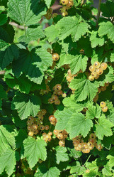 Similar image 978225