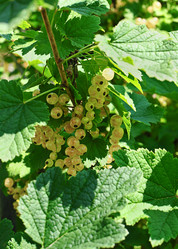 Similar image 978226