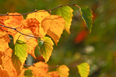 Similar image 978242