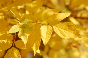 Similar image 978244