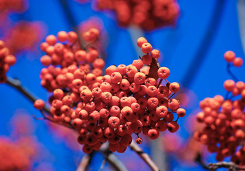 Similar image 978249