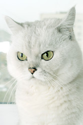 Similar image 978267