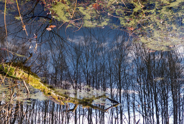 Similar image 978290