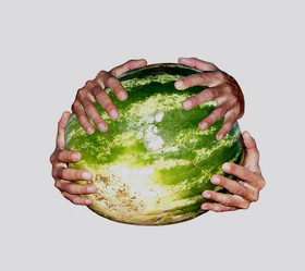 Similar image 978461