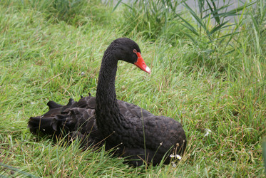 Similar image 978483