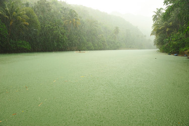 Similar image 978811