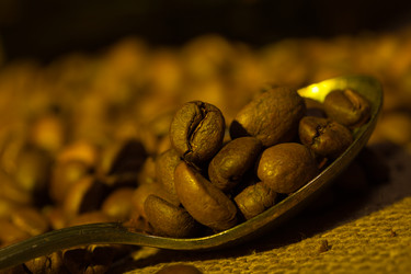 Similar image 979043