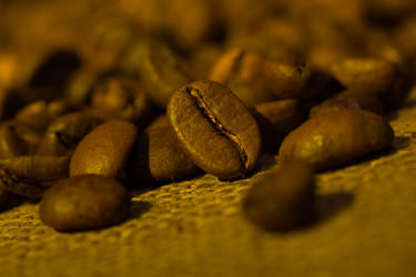 Similar image 979065