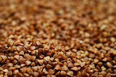 Similar image 979162