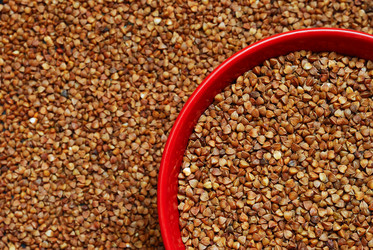 Similar image 979167