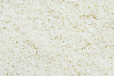 Similar image 979173