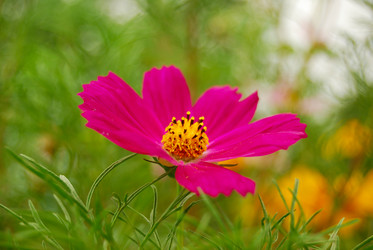 Similar image 979177