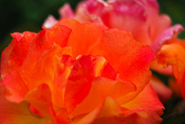 Similar image 979186